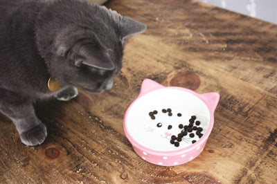 Happy Pet Futternapf für Katzen, Polka-Rosa, Creme