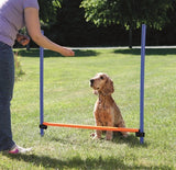 Trixie Hundeaktivitäts-Agility-Hürde blau orange