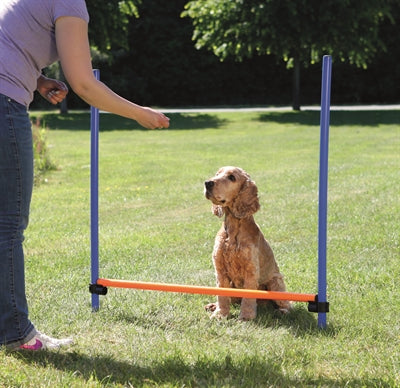 Trixie Hundeaktivitäts-Agility-Hürde blau orange
