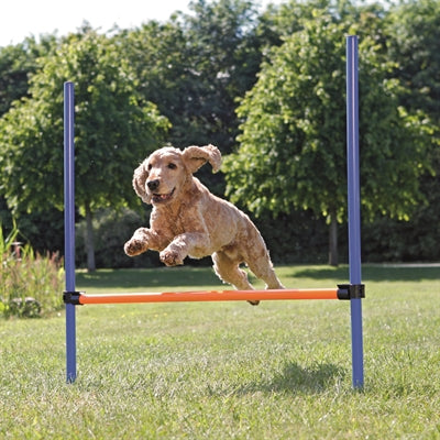 Trixie Hundeaktivitäts-Agility-Hürde blau orange