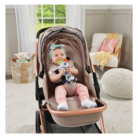 Vtech Tierfreunde Rassel – Zebra