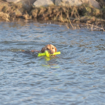 Trixie Hundeaktivität Motten-Aqua Apportierschwimmer Limettengrün