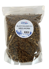 De vries meelworm Black Soldier Fliege