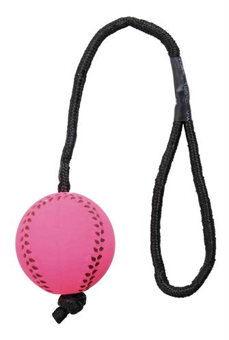 Trixie Sportball am Seil Moosgummi schwimmend sortiert