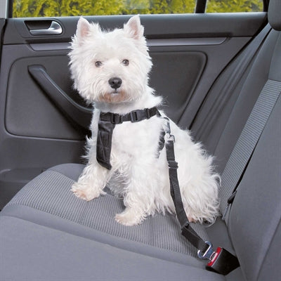 Trixie Hundegeschirr Auto inklusive Gurt schwarz