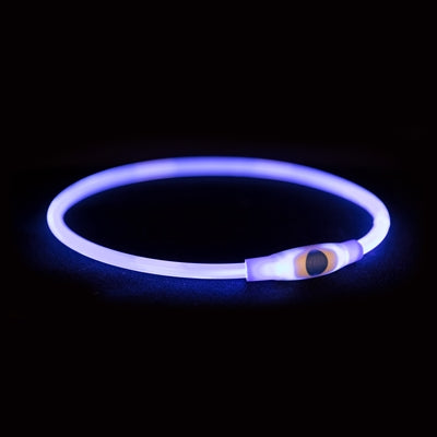 Markenloses Sans-Marque-Trixie-Leuchthalsband, USB-Blitzlicht, wiederaufladbar, TPU, Blau