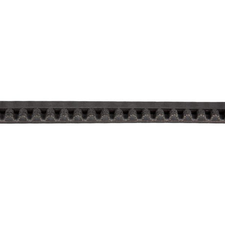 Gates Antriebsriemen CDC Carbon Drive 122t 1342x12mm schwarz