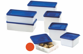 Westmark Gefrierbox-Set à 4 Stück 250ml 113x113x36