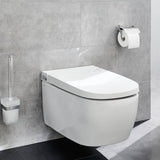 Kleiner Wolke Toilettenrollhalter mit Deckel Meo Silberfarbe