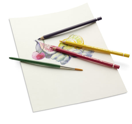 Faber Castell FC-117524 Aquarellstift Faber-Castell Albrecht Dürer Federmäppchen mit 24 Teilen