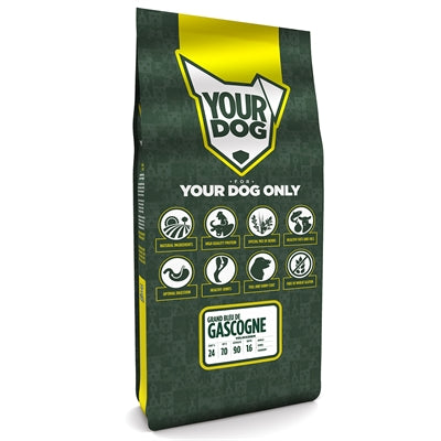 Yourdog grand bleu de gascogne reif