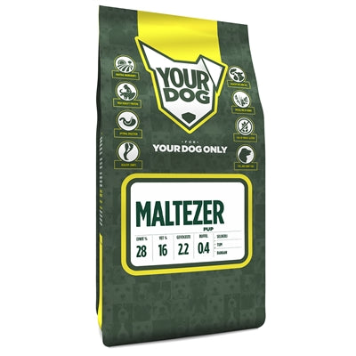 YourDog maltesischer Welpe
