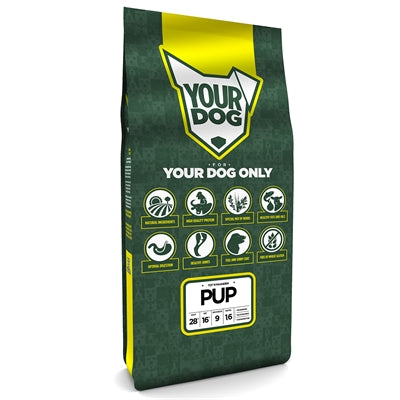 YourDog Welpe