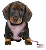 Trixie Junior Welpengeschirr weich mit Leine flieder