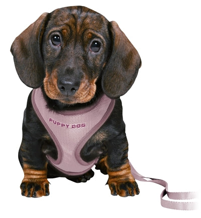 Trixie Junior Welpengeschirr weich mit Leine flieder