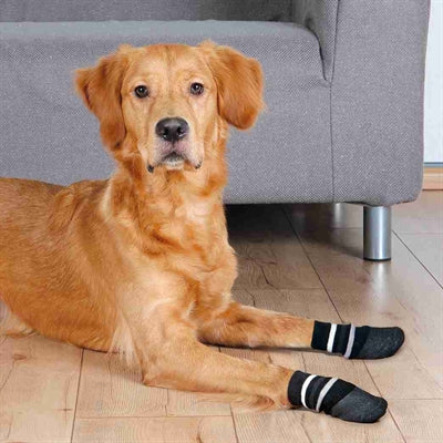 Trixie Antirutsch-Hundesocken mit rundum Gummischicht, schwarz