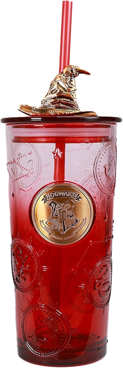 Harry Potter Glasbecher mit Deckel und Strohhalm – magisches Geschenk.