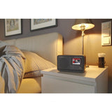 Basic Albrecht DR 490 DAB+ Hybridradio schwarz