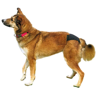 Trixie Wärmehose schwarz