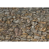 Komar Foto Wallpaper Steinmauer 368x254 cm 8-727