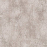 Noordwand noordwand tapete topchic konkrete Beige