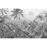 Komar Komar Foto Wallpaper Amazonien Schwarz und Weiß 400x250 cm