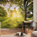 Komar Komar Foto Wallpaper Goldener Moment 400x250 cm