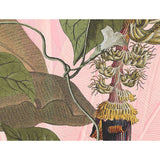 Komar Komar Foto Wallpaper Plantation 350x270 cm