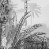 Komar Foto Tapete Lac Tropical Black White 200x270 cm