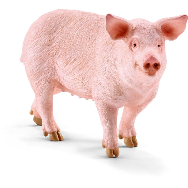 Schleich Schwein
