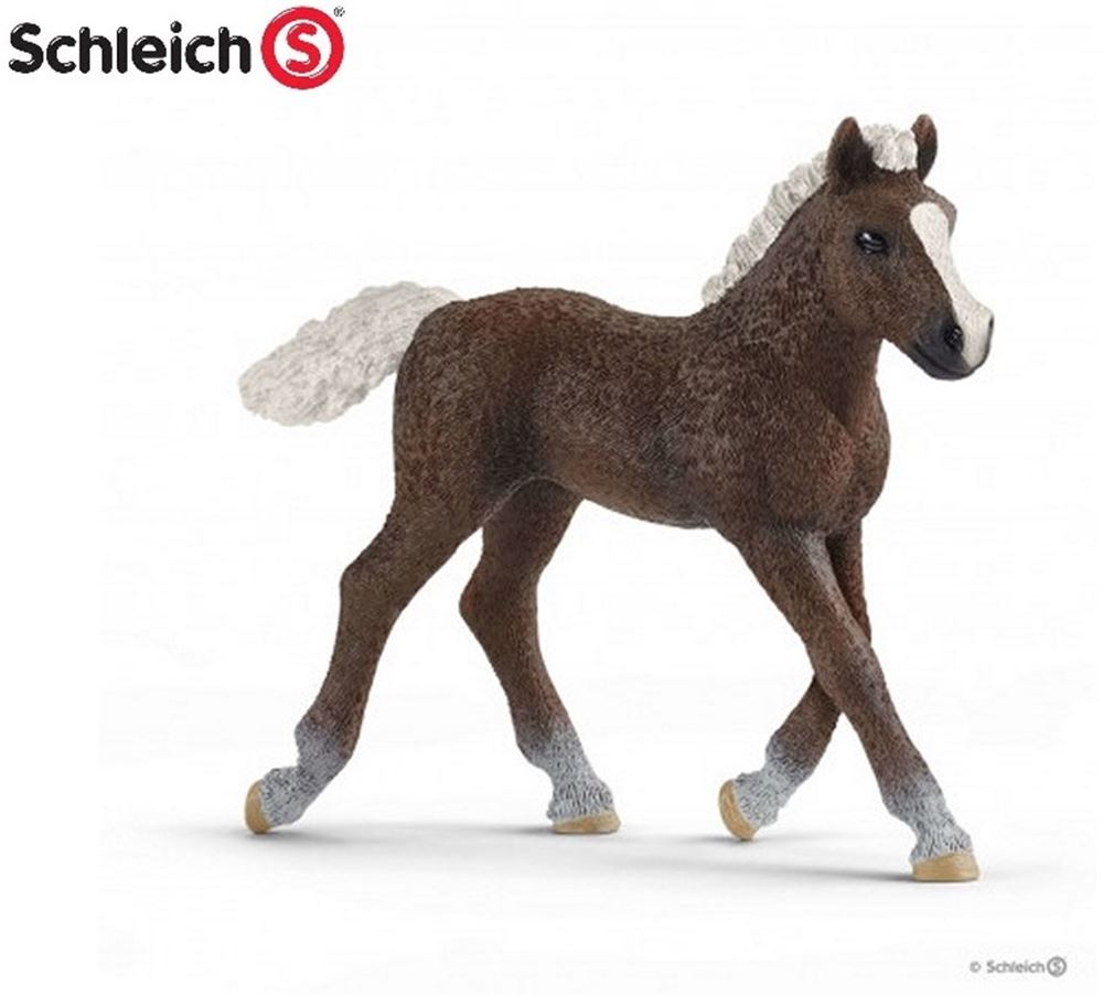 Schleich Horse Club Schwarzwälder Fohlen 17077