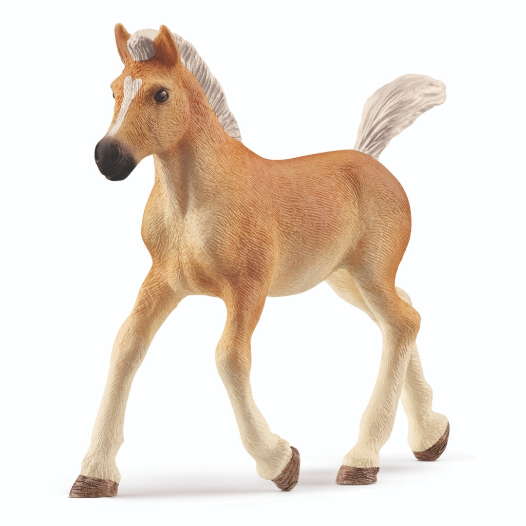 Schleich Pferdeclub - Haflinger-Fohlen - 13951