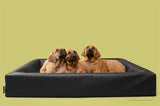 Bia Bett Hundekorb Original quadratisch schwarz