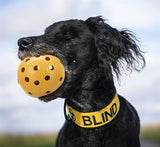 Trixie Gatenbal Natural Gummi mit Glocke für blinden oder behinderten Hund