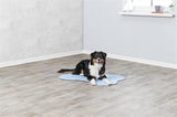 Trixie cooles Matten -Knochenhellblau