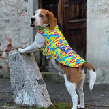 Croci Hundemantel Fake News Gelb Blau Fuchsia