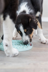 Trixie Junior Leckteller mintgrün