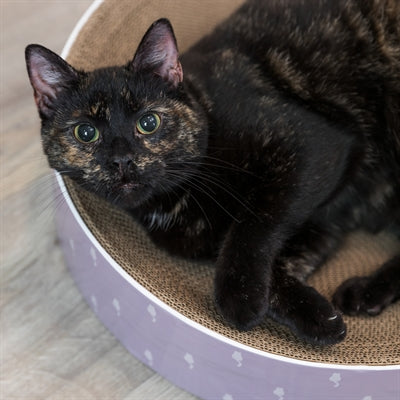 Trixie Kratzkorb Lilly Katzenminze aus Pappe sortiert