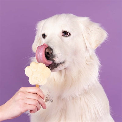 SNOOFL SNOOFL ICE MIX für Hundebanane