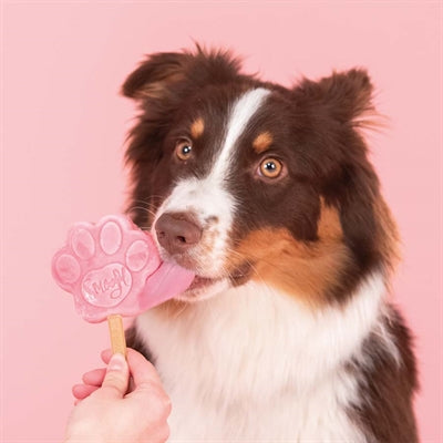 SNOOFL ICE MIX für Hunde Wassermelone
