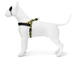 Morso norwegisches Hundegeschirr aus recyceltem Vollmetall für Hunde, braun