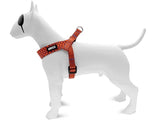 Morso Mini-Hundegeschirr, verstellbar, recyceltes urbanes Eidechsenrot