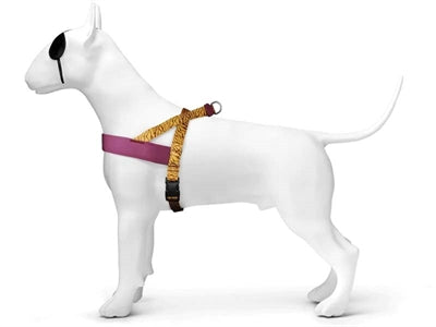 Morso norwegisches Hundegeschirr, recycelte Dschungeltrommel, Orange
