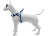 Morso Mini-Hundegeschirr, verstellbar, recyceltes Spritzblau