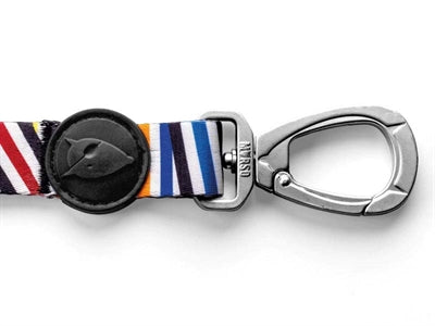 Vorfall mit recycelter Spaghetti-Hundeleine von Morso