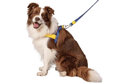 Morso norwegian dog harness recycled color invaders purple