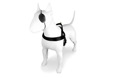 Morso norwegisches Hundegeschirr aus recyceltem Gold, Kaviargold