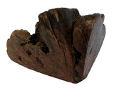 Hund Woodzzz kauen Wurzel mit Olivenöl