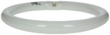 Sylvania 1044511 - tl lamp circlin 32w koud wit 841 | 3 stuks