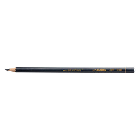 Stabilo Ganzglasstift – Farbe und Graphitstift – Schwarz